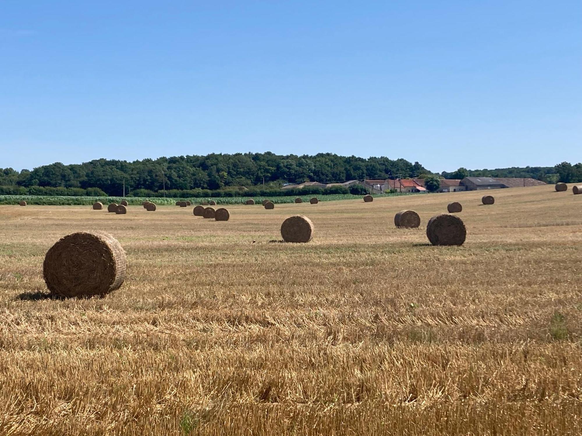 Les Ganivelles Leilighet Saint-Dizant-du-Gua Eksteriør bilde